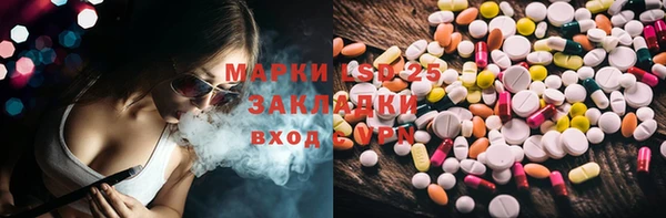 ПСИЛОЦИБИНОВЫЕ ГРИБЫ Алзамай