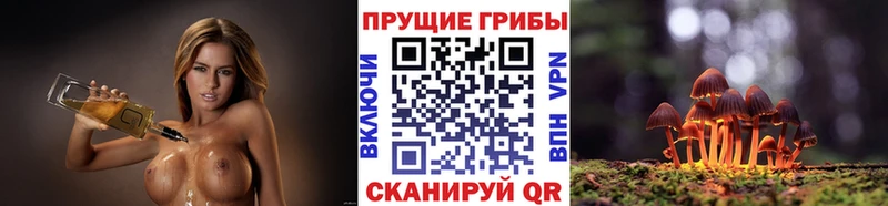 Псилоцибиновые грибы Magic Shrooms  Ладушкин 